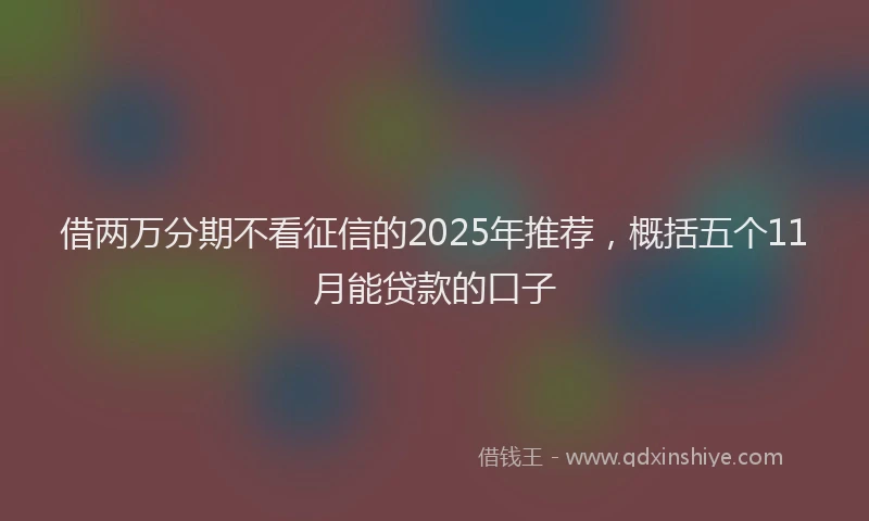 借两万分期不看征信的2025年推荐，概括五个11月能贷款的口子