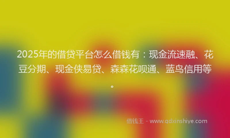 2025年的借贷平台怎么借钱有:现金流速融、花豆分期、现金侠易贷、森森花呗通、蓝鸟信用等。