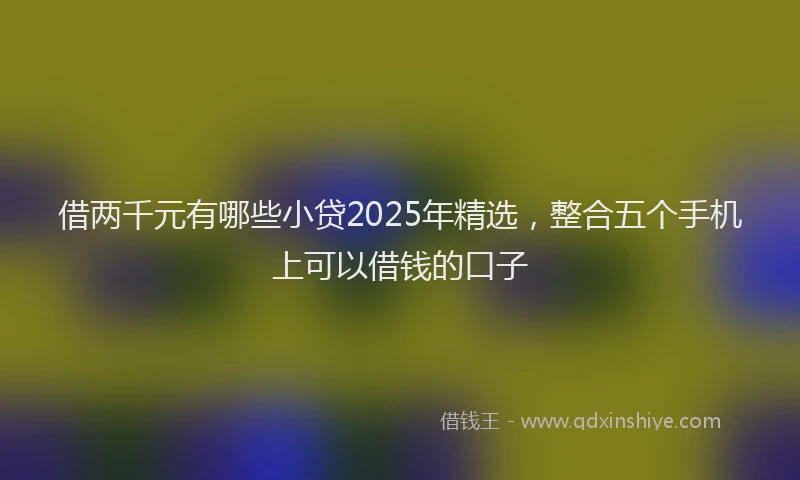 借两千元有哪些小贷2025年精选，整合五个手机上可以借钱的口子