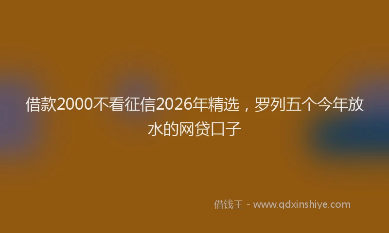 借款2000不看征信2026年精选,罗列五个今年放水的网贷口子