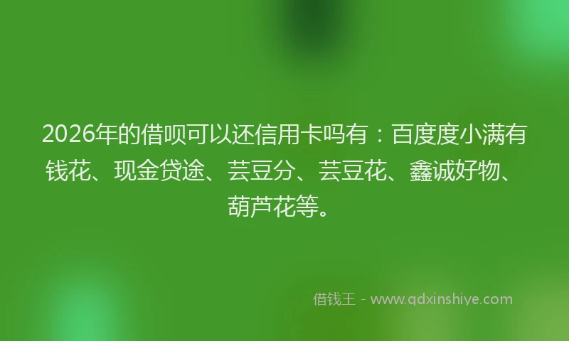 2026年的借呗可以还信用卡吗有:百度度小满有钱花、现金贷途、芸豆分、芸豆花、鑫诚好物、葫芦花等。