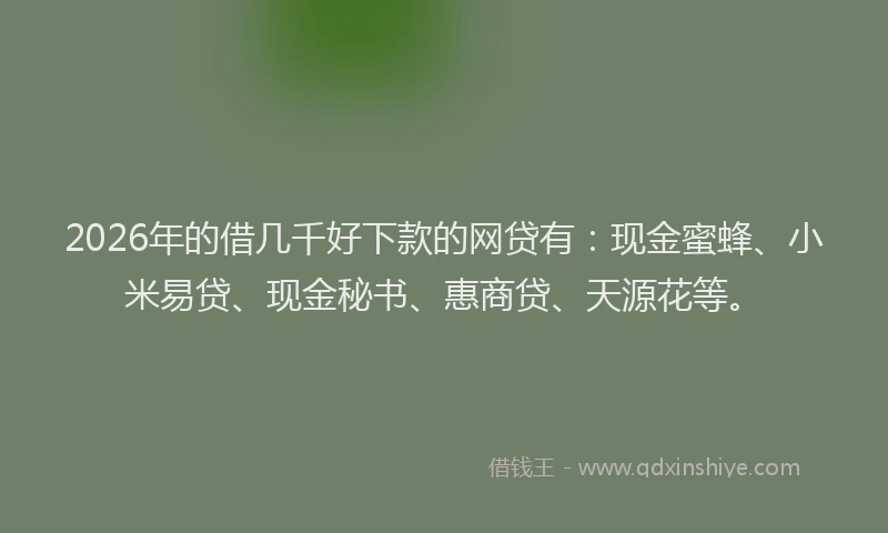 2026年的借几千好下款的网贷有：现金蜜蜂、小米易贷、现金秘书、惠商贷、天源花等。