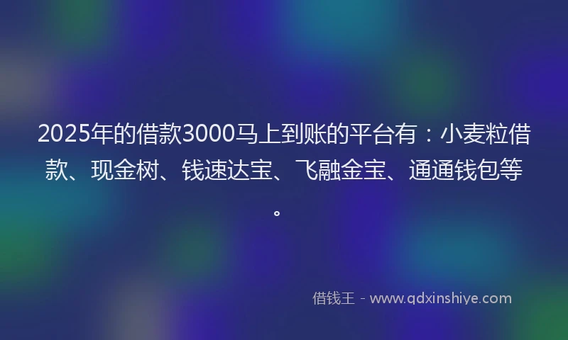 2025年的借款3000马上到账的平台有：小麦粒借款、现金树、钱速达宝、飞融金宝、通通钱包等。