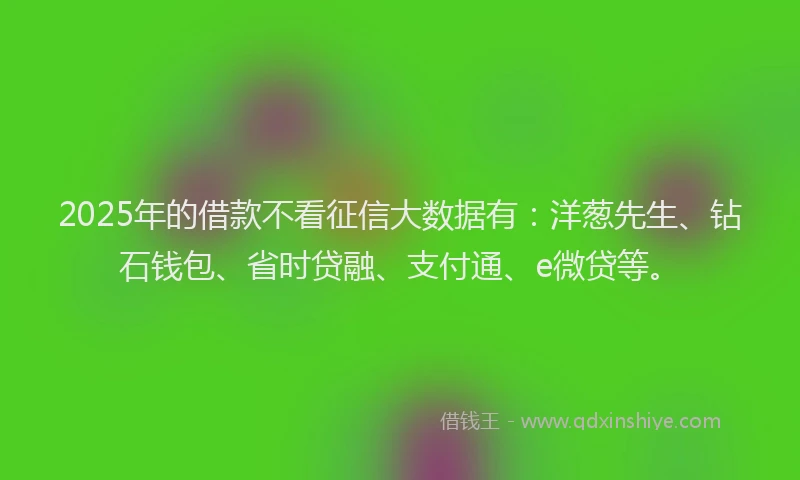2025年的借款不看征信大数据有:洋葱先生、钻石钱包、省时贷融、支付通、e微贷等。