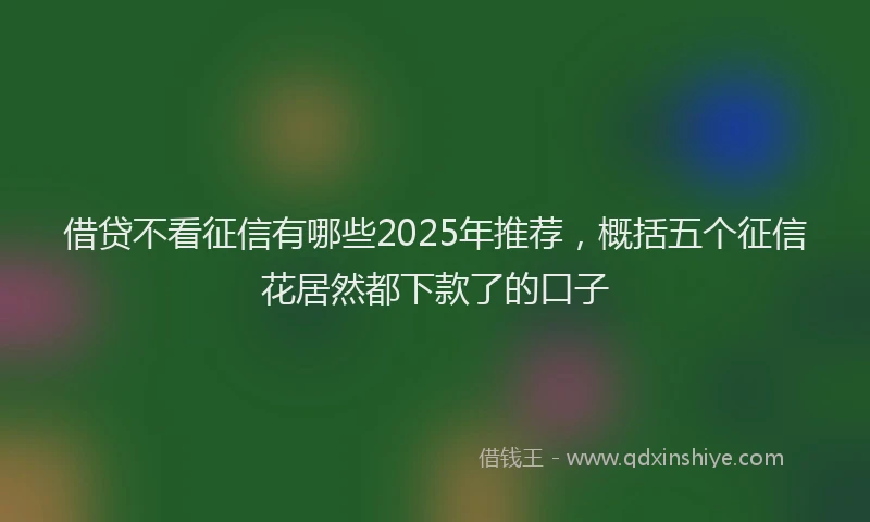 借贷不看征信有哪些2025年推荐,概括五个征信花居然都下款了的口子