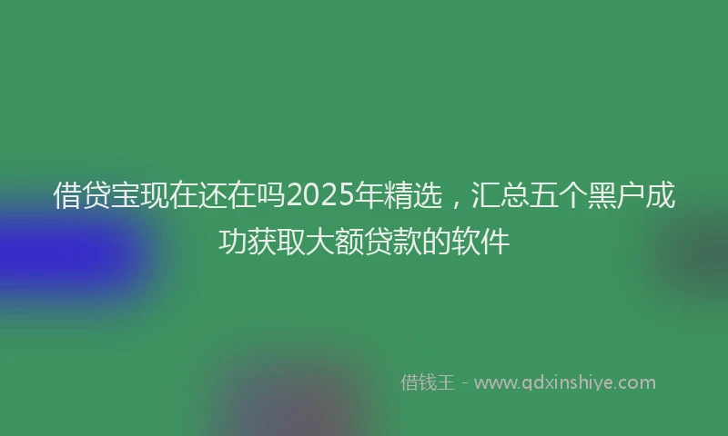 借贷宝现在还在吗2025年精选,汇总五个黑户成功获取大额贷款的软件