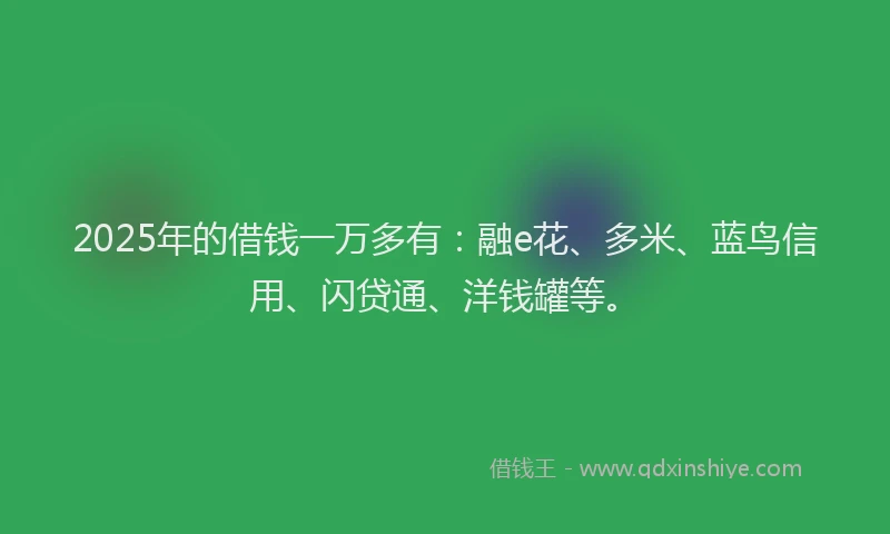 2025年的借钱一万多有：融e花、多米、蓝鸟信用、闪贷通、洋钱罐等。