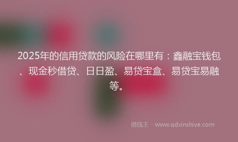 2025年的信用贷款的风险在哪里有：鑫融宝钱包、现金秒借贷、日日盈、易贷宝盒、易贷宝易融等。