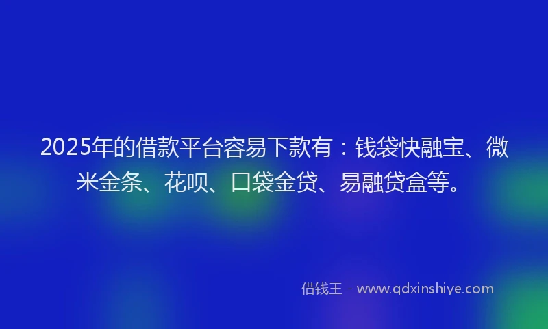 2025年的借款平台容易下款有：钱袋快融宝、微米金条、花呗、口袋金贷、易融贷盒等。