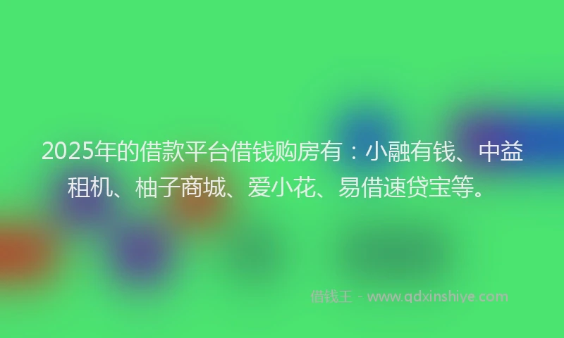2025年的借款平台借钱购房有:小融有钱、中益租机、柚子商城、爱小花、易借速贷宝等。