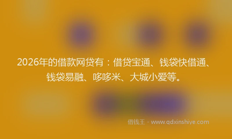 2026年的借款网贷有：借贷宝通、钱袋快借通、钱袋易融、哆哆米、大城小爱等。