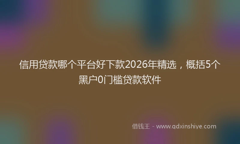 信用贷款哪个平台好下款2026年精选，概括5个黑户0门槛贷款软件