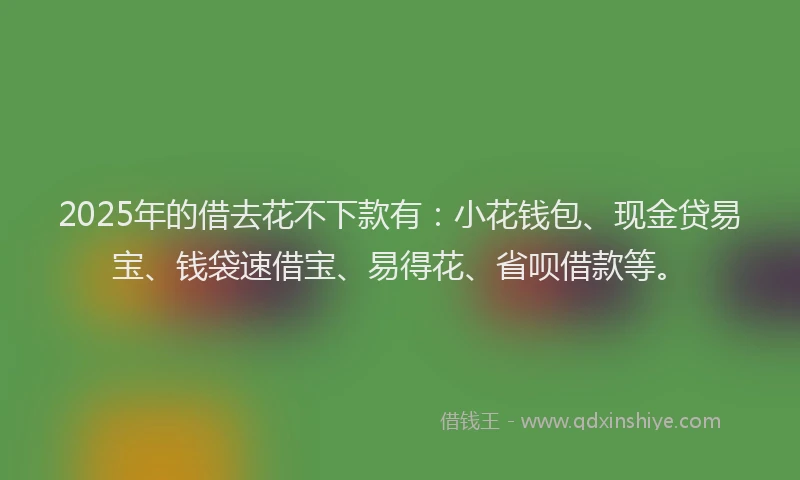2025年的借去花不下款有：小花钱包、现金贷易宝、钱袋速借宝、易得花、省呗借款等。