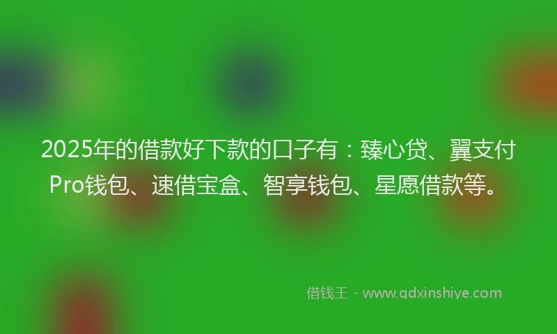 2025年的借款好下款的口子有：臻心贷、翼支付Pro钱包、速借宝盒、智享钱包、星愿借款等。