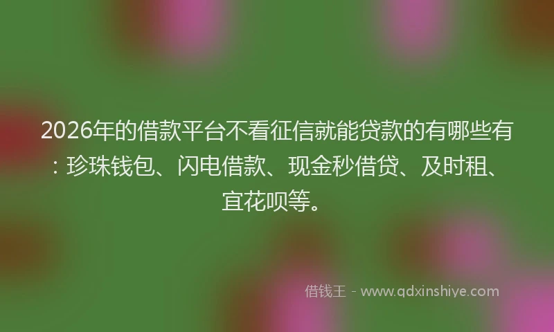 2026年的借款平台不看征信就能贷款的有哪些有：珍珠钱包、闪电借款、现金秒借贷、及时租、宜花呗等。