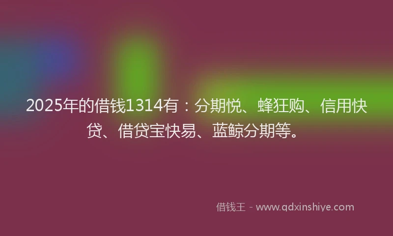 2025年的借钱1314有：分期悦、蜂狂购、信用快贷、借贷宝快易、蓝鲸分期等。