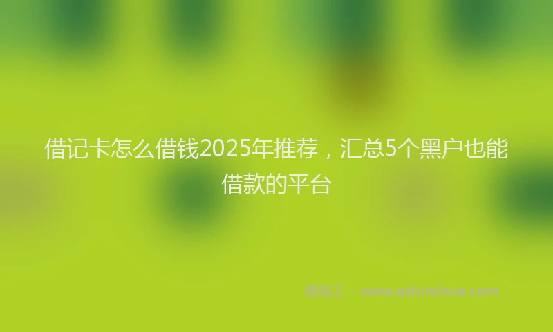 借记卡怎么借钱2025年推荐，汇总5个黑户也能借款的平台
