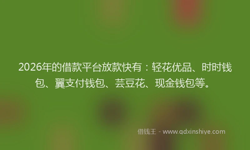2026年的借款平台放款快有：轻花优品、时时钱包、翼支付钱包、芸豆花、现金钱包等。