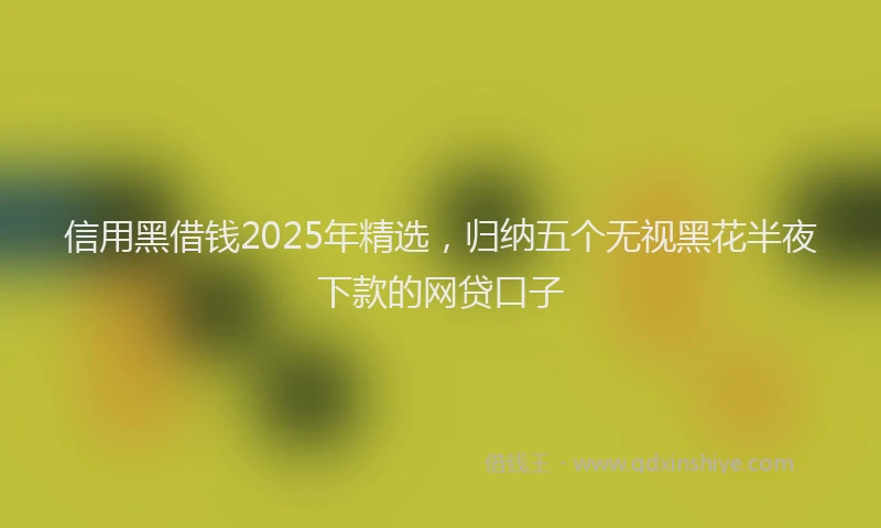 信用黑借钱2025年精选，归纳五个无视黑花半夜下款的网贷口子