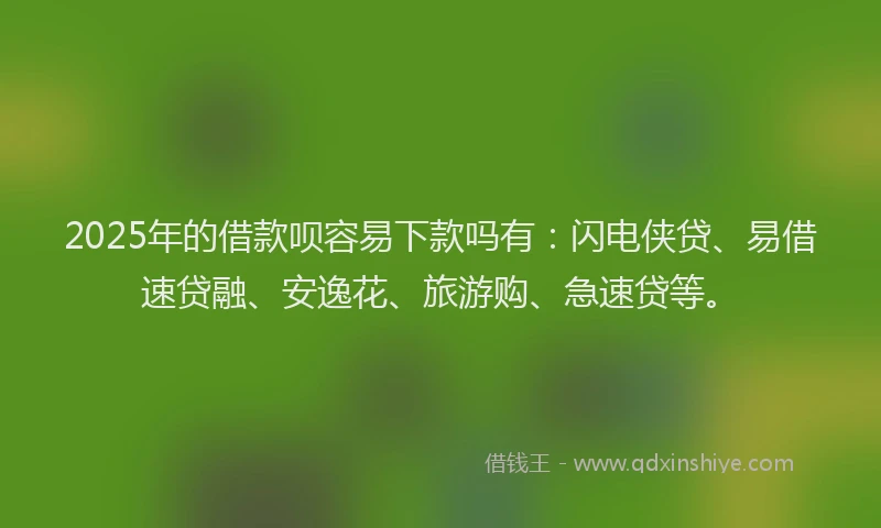 2025年的借款呗容易下款吗有：闪电侠贷、易借速贷融、安逸花、旅游购、急速贷等。