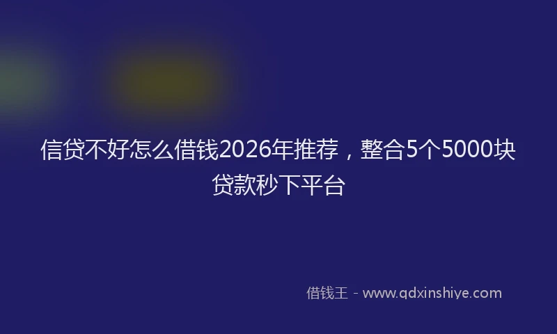 信贷不好怎么借钱2026年推荐，整合5个5000块贷款秒下平台
