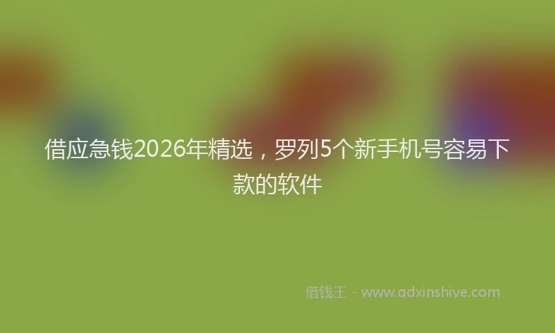 借应急钱2026年精选，罗列5个新手机号容易下款的软件