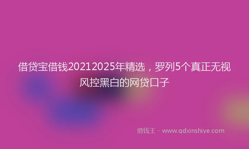借贷宝借钱20212025年精选，罗列5个真正无视风控黑白的网贷口子