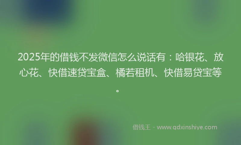 2025年的借钱不发微信怎么说话有：哈银花、放心花、快借速贷宝盒、橘若租机、快借易贷宝等。