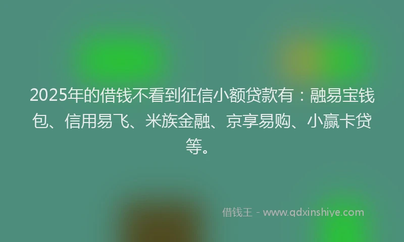 2025年的借钱不看到征信小额贷款有：融易宝钱包、信用易飞、米族金融、京享易购、小赢卡贷等。