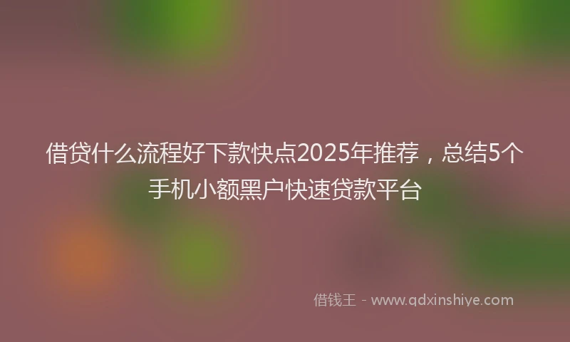 借贷什么流程好下款快点2025年推荐，总结5个手机小额黑户快速贷款平台