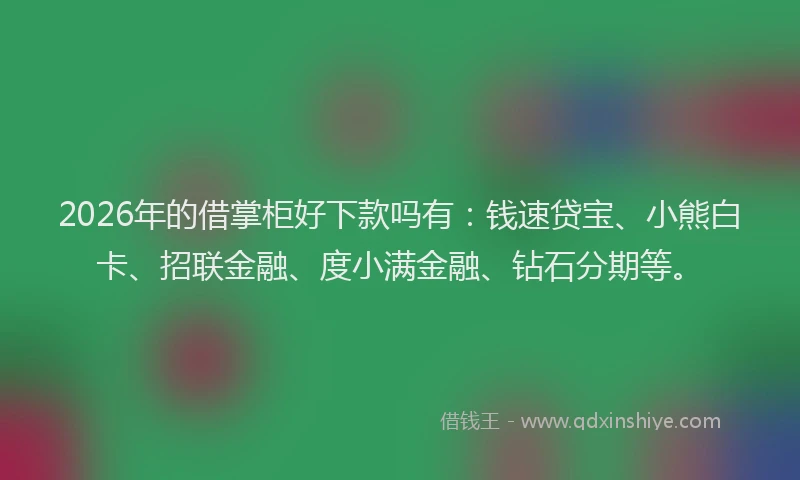2026年的借掌柜好下款吗有：钱速贷宝、小熊白卡、招联金融、度小满金融、钻石分期等。