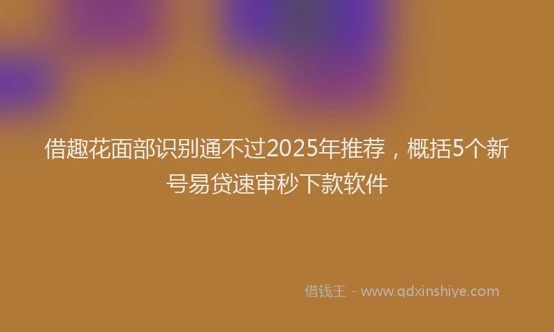 借趣花面部识别通不过2025年推荐，概括5个新号易贷速审秒下款软件