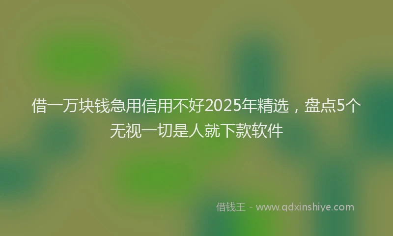 借一万块钱急用信用不好2025年精选,盘点5个无视一切是人就下款软件