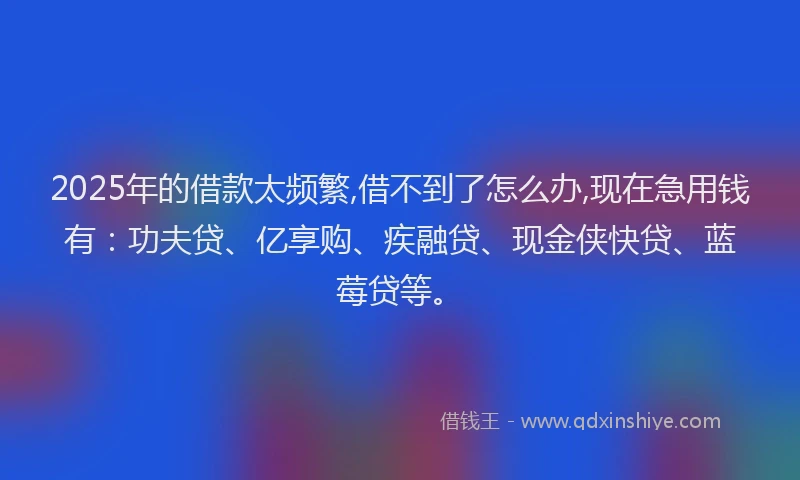 2025年的借款太频繁,借不到了怎么办,现在急用钱有：功夫贷、亿享购、疾融贷、现金侠快贷、蓝莓贷等。