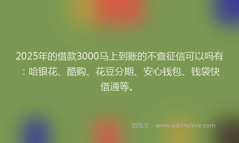 2025年的借款3000马上到账的不查征信可以吗有：哈银花、酷购、花豆分期、安心钱包、钱袋快借通等。