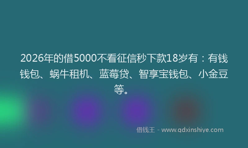 2026年的借5000不看征信秒下款18岁有：有钱钱包、蜗牛租机、蓝莓贷、智享宝钱包、小金豆等。