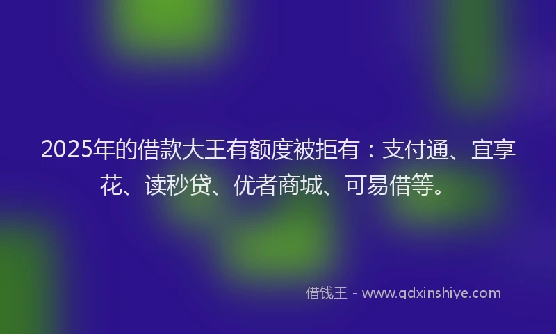 2025年的借款大王有额度被拒有：支付通、宜享花、读秒贷、优者商城、可易借等。