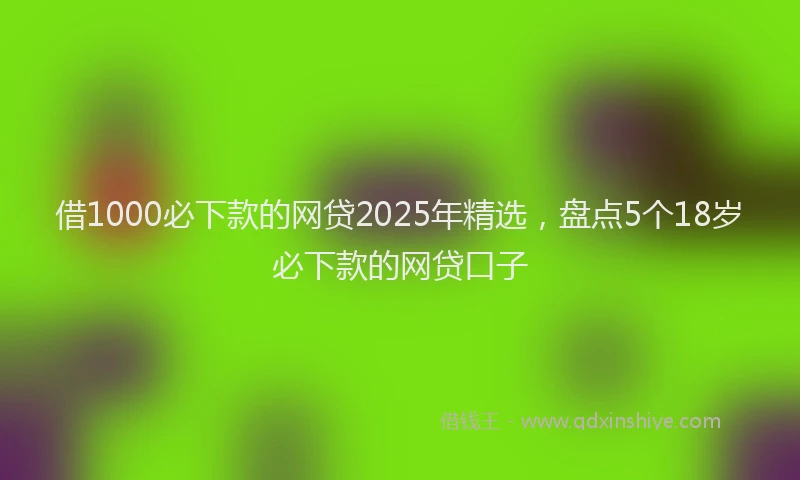 借1000必下款的网贷2025年精选,盘点5个18岁必下款的网贷口子