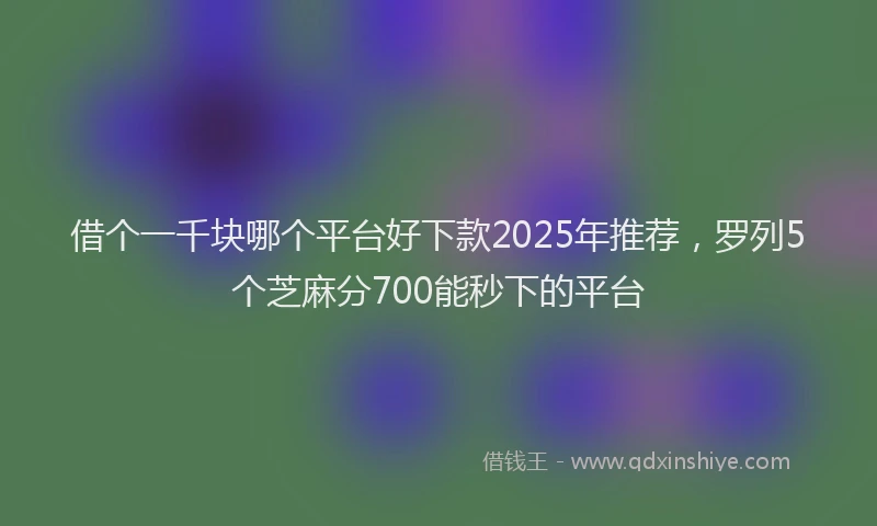 借个一千块哪个平台好下款2025年推荐，罗列5个芝麻分700能秒下的平台