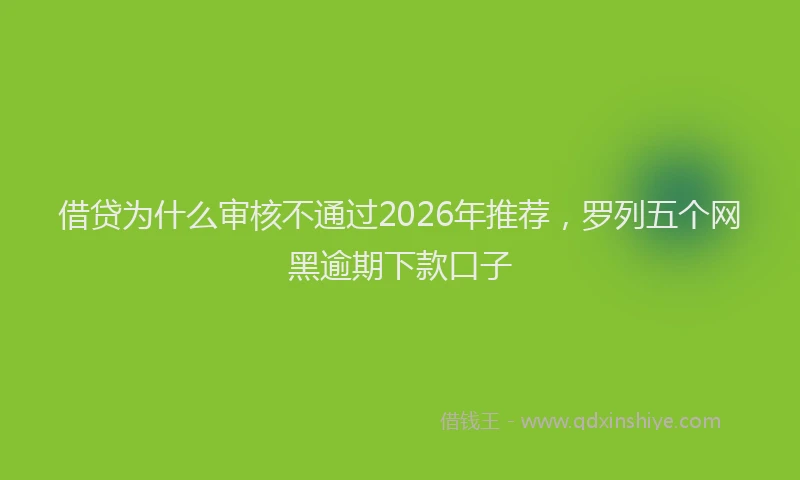 借贷为什么审核不通过2026年推荐，罗列五个网黑逾期下款口子