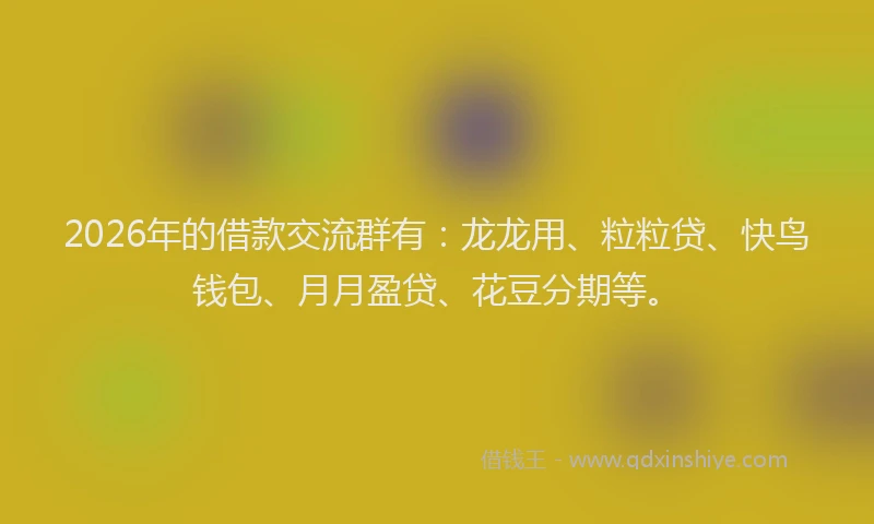 2026年的借款交流群有:龙龙用、粒粒贷、快鸟钱包、月月盈贷、花豆分期等。