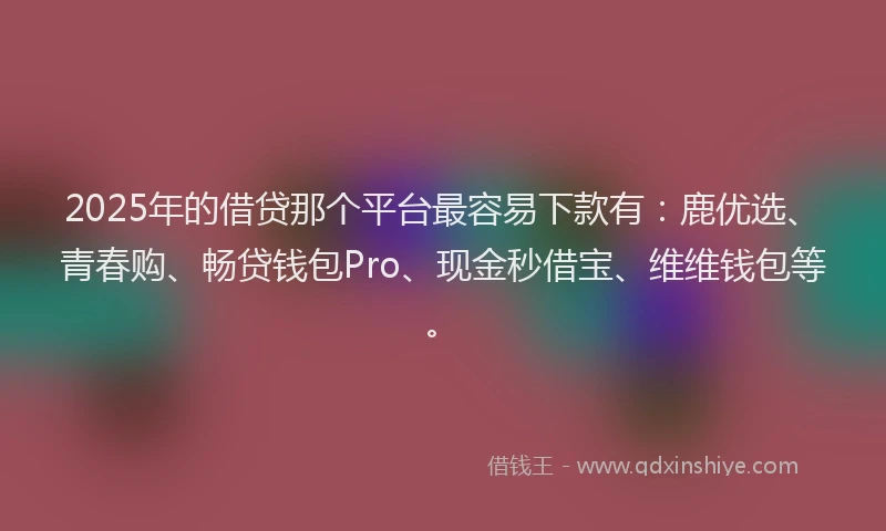 2025年的借贷那个平台最容易下款有:鹿优选、青春购、畅贷钱包Pro、现金秒借宝、维维钱包等。