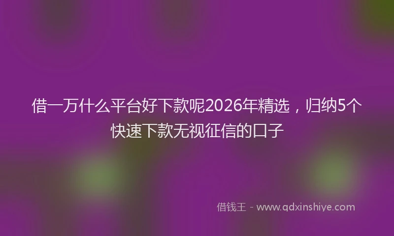 借一万什么平台好下款呢2026年精选,归纳5个快速下款无视征信的口子