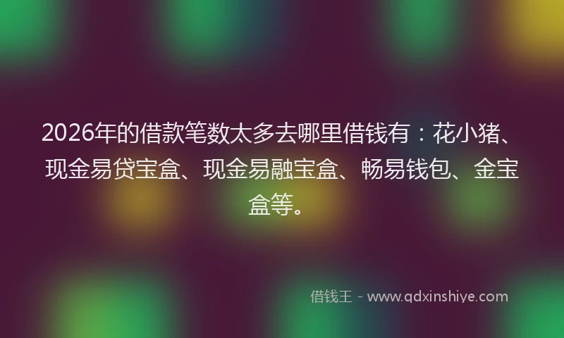 2026年的借款笔数太多去哪里借钱有：花小猪、现金易贷宝盒、现金易融宝盒、畅易钱包、金宝盒等。