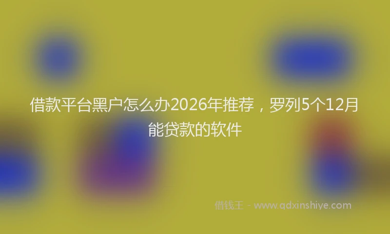 借款平台黑户怎么办2026年推荐，罗列5个12月能贷款的软件