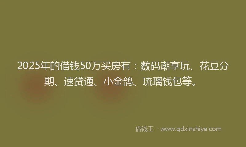 2025年的借钱50万买房有:数码潮享玩、花豆分期、速贷通、小金鸽、琉璃钱包等。