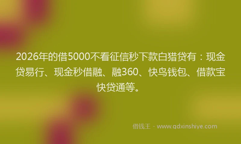 2026年的借5000不看征信秒下款白猎贷有：现金贷易行、现金秒借融、融360、快鸟钱包、借款宝快贷通等。