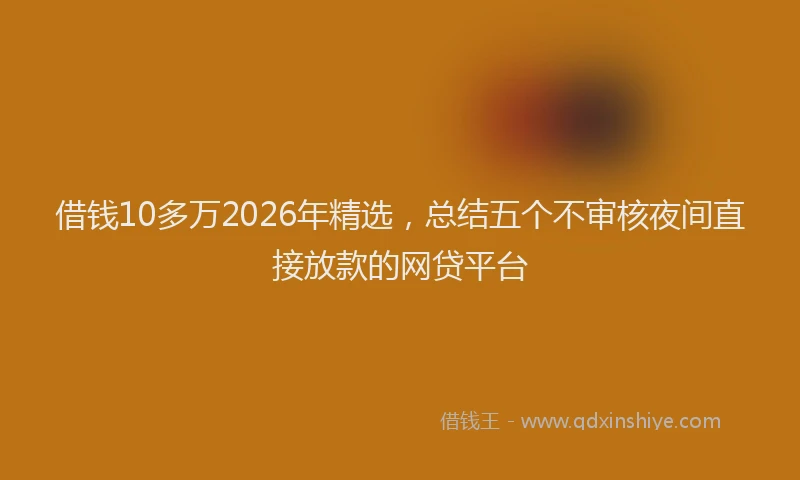 借钱10多万2026年精选，总结五个不审核夜间直接放款的网贷平台