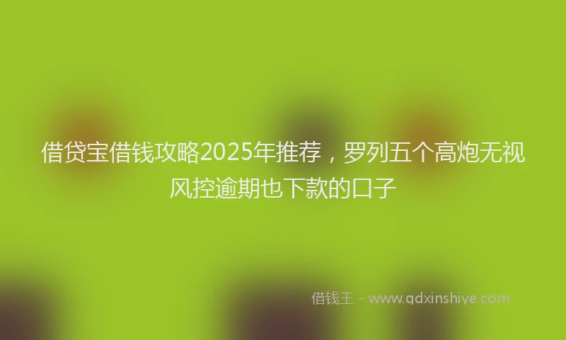 借贷宝借钱攻略2025年推荐,罗列五个高炮无视风控逾期也下款的口子
