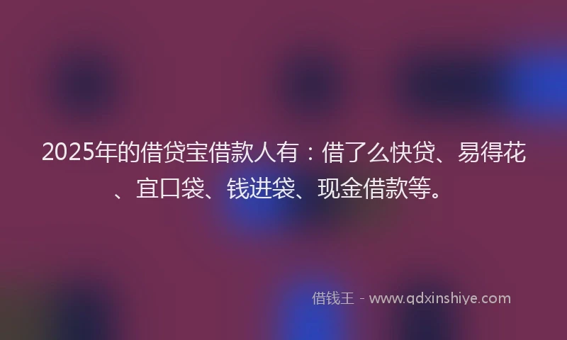 2025年的借贷宝借款人有：借了么快贷、易得花、宜口袋、钱进袋、现金借款等。